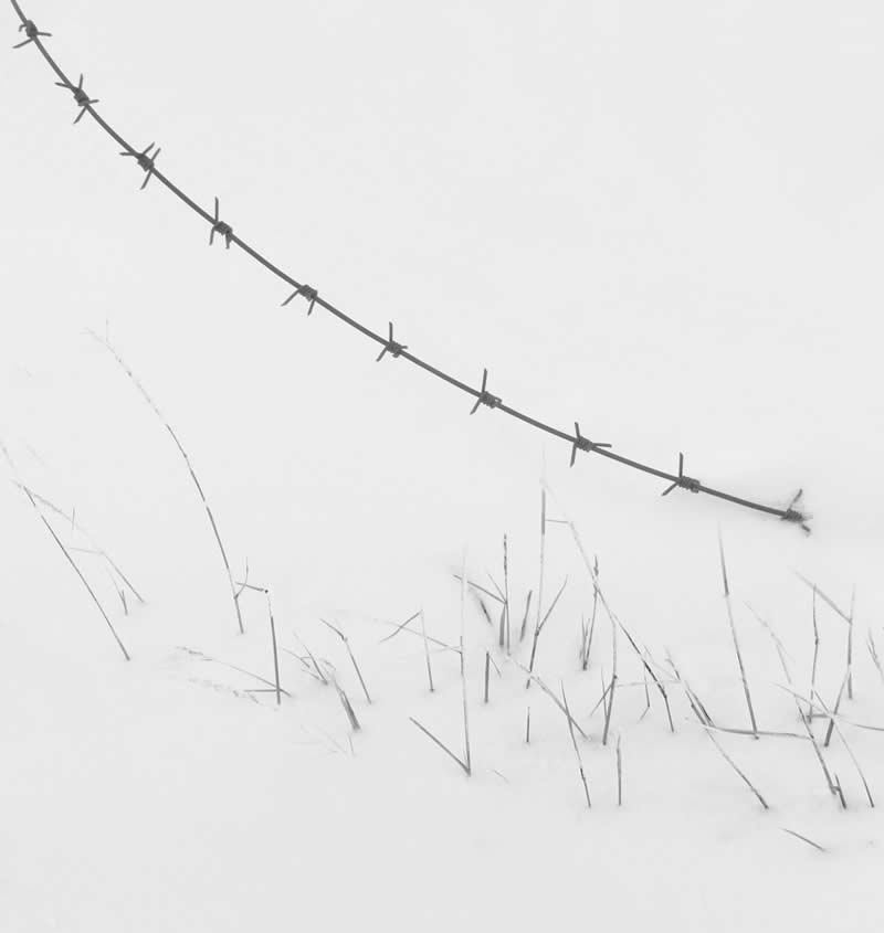 Minimalist Black-and-White Photography by Mostafa Nodeh