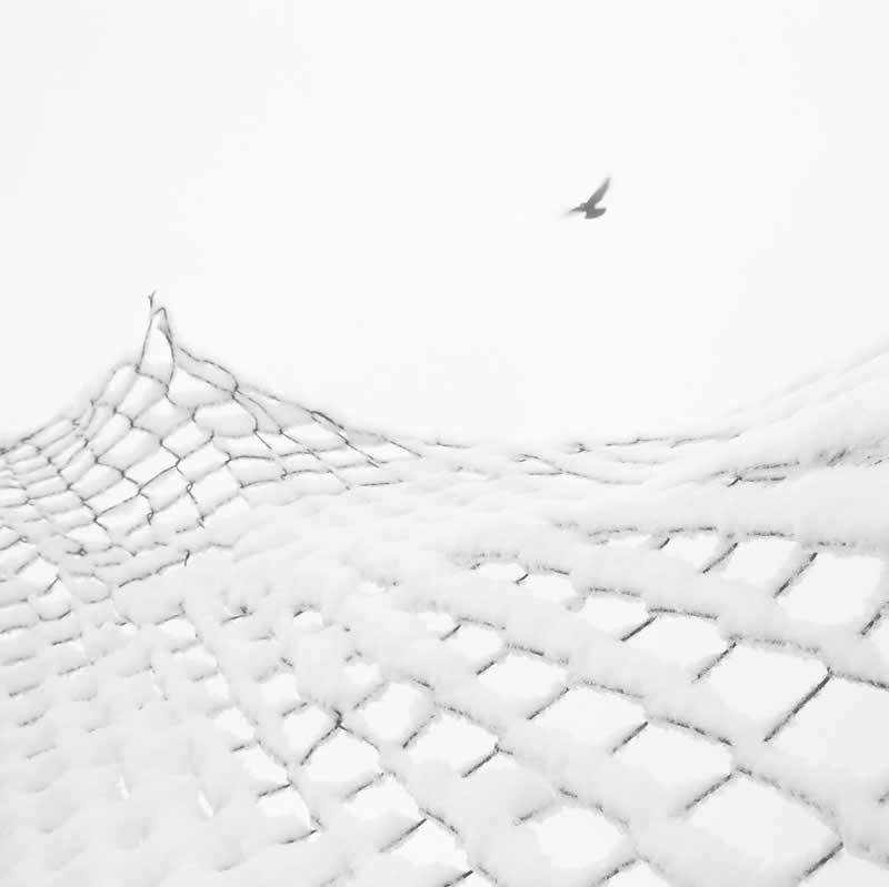 Minimalist Black-and-White Photography by Mostafa Nodeh