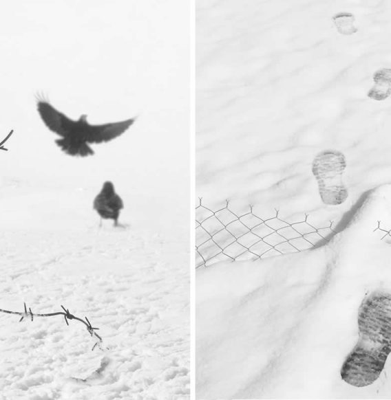 Photographer Mostafa Nodeh Explores Freedom Through Minimalist Black-and-White Photography