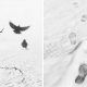 Minimalist Black-and-White Photography by Mostafa Nodeh