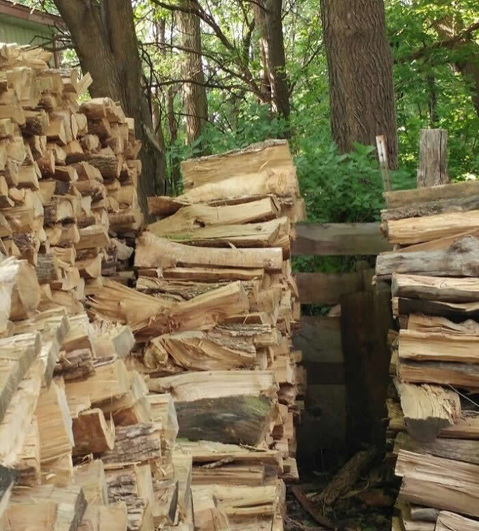 Funny Photos of Perfect Camouflage