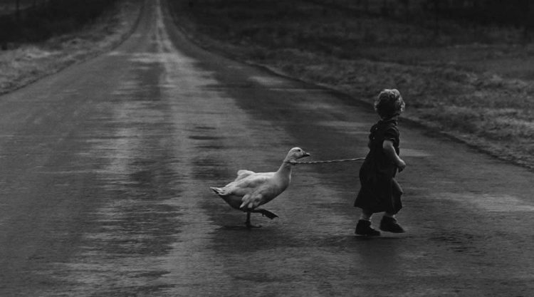 Iconic Photos That Celebrate the Golden Age of Black-and-White Photography