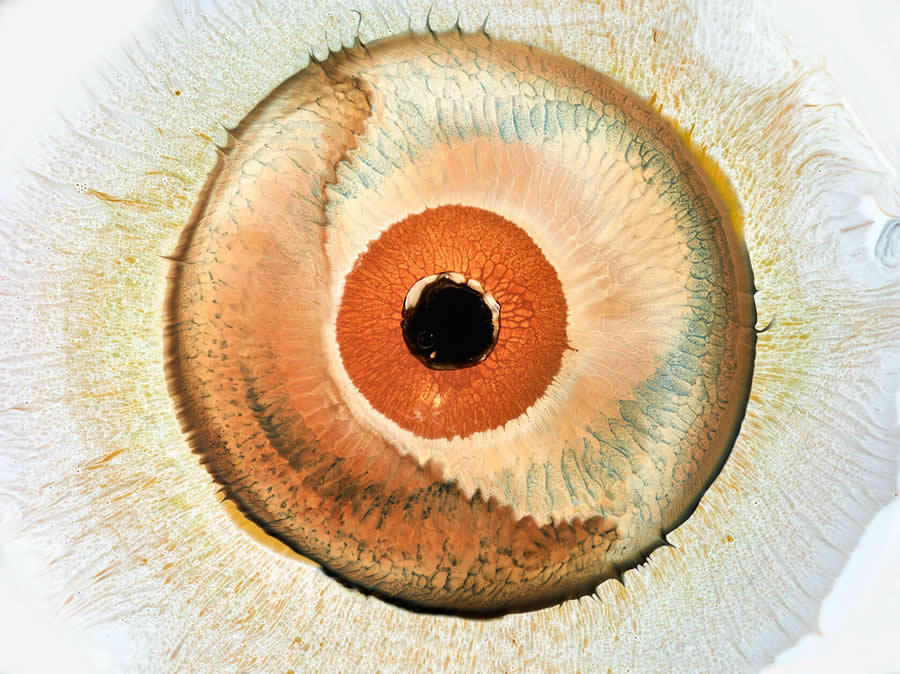 Liquid Eyes by Mark Mawson