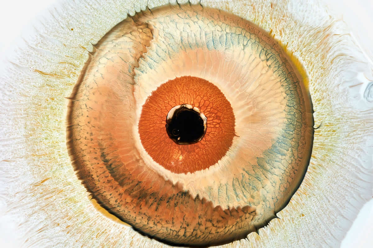 Liquid Eyes by Mark Mawson