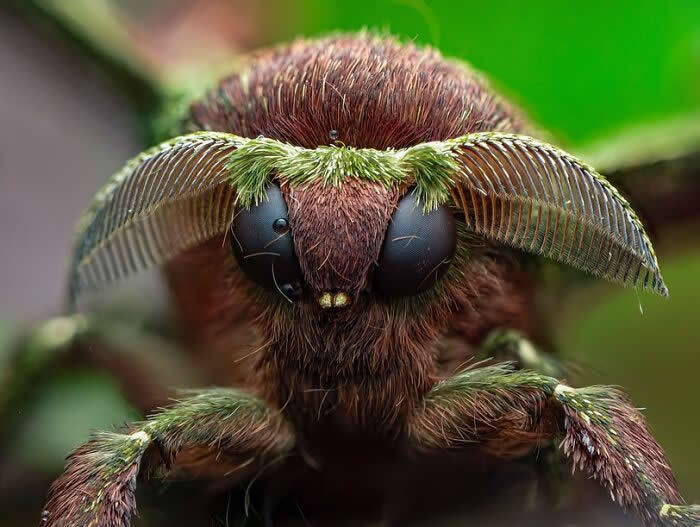 Macro Photography by Dara Ojo