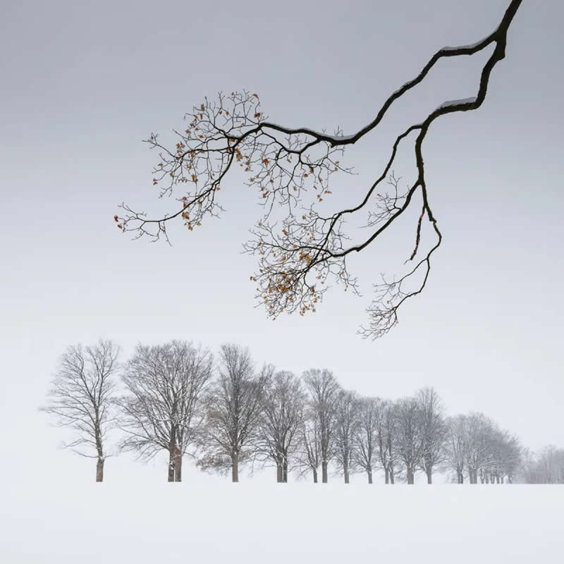 2025 Minimalist Photography Awards Winners