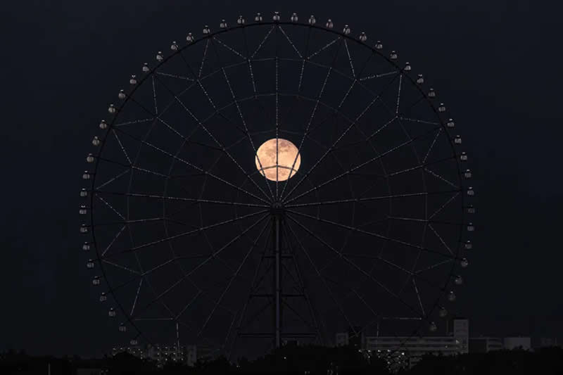 2025 Minimalist Photography Awards Winners