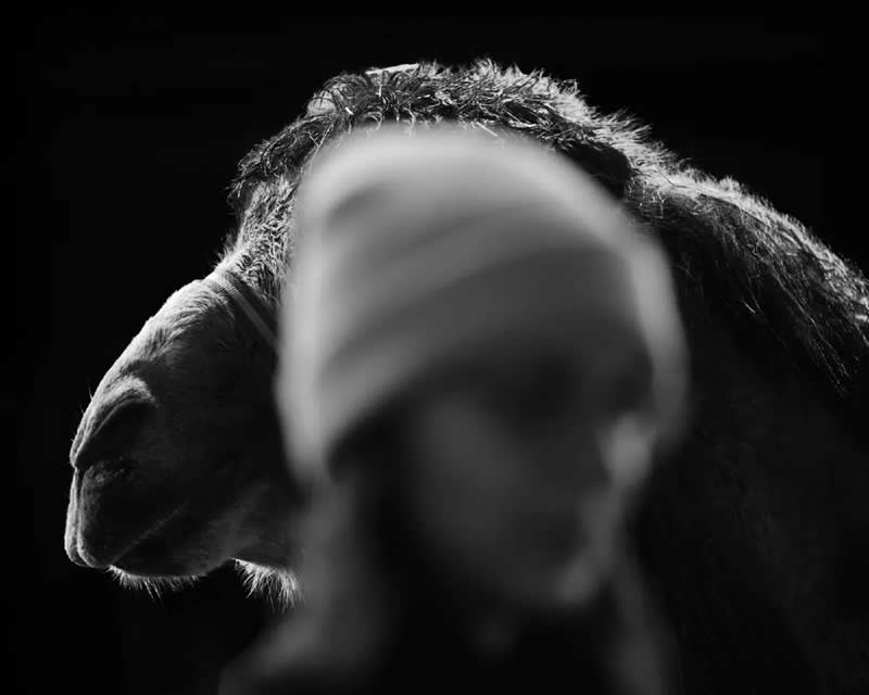2025 Minimalist Photography Awards Winners