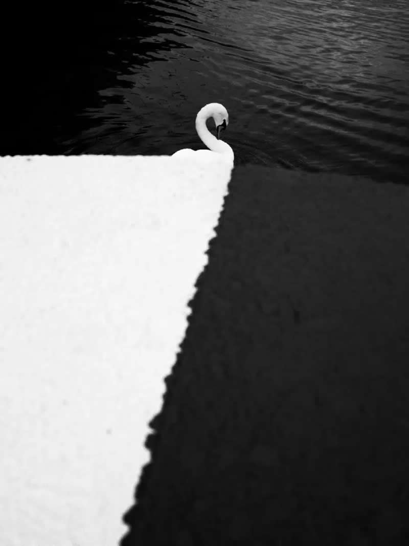 2025 Minimalist Photography Awards Winners