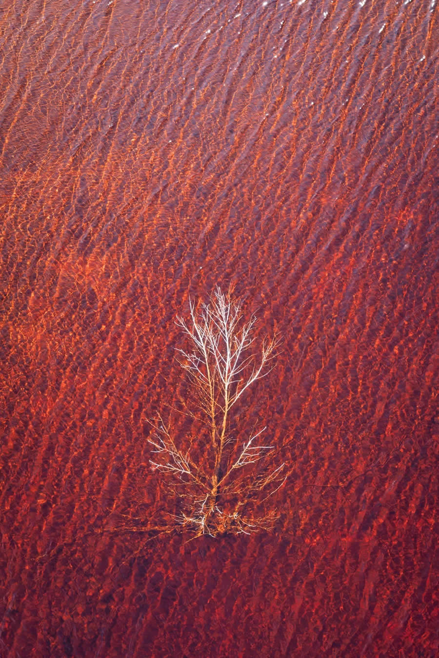 Aerial Winning Photos From The 2025 Minimalist Photography Awards