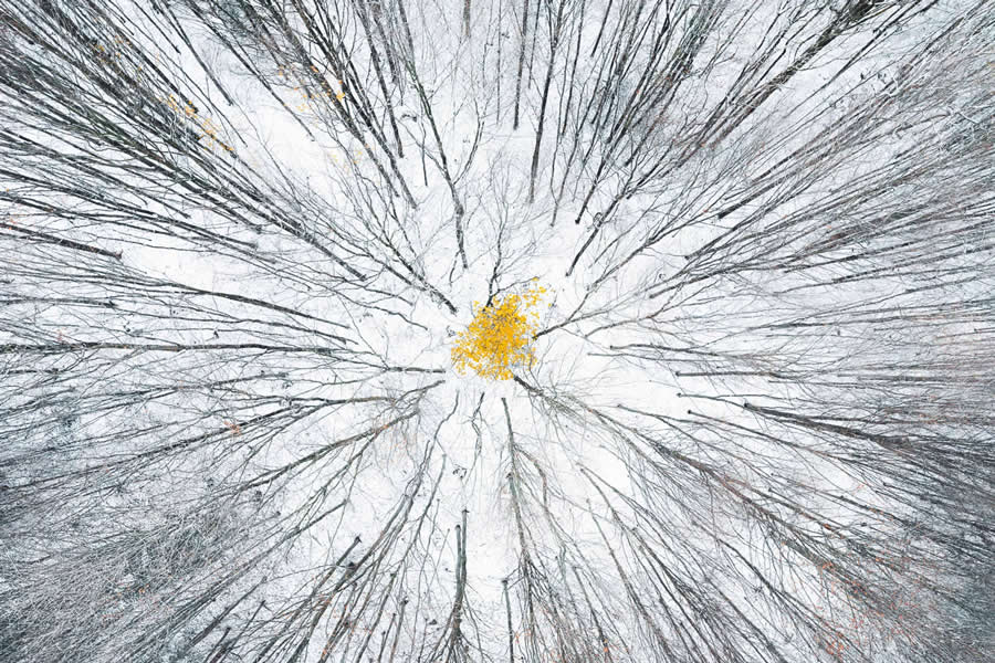 Aerial Winning Photos From The 2025 Minimalist Photography Awards