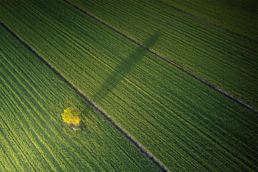 Aerial Winning Photos From The 2025 Minimalist Photography Awards