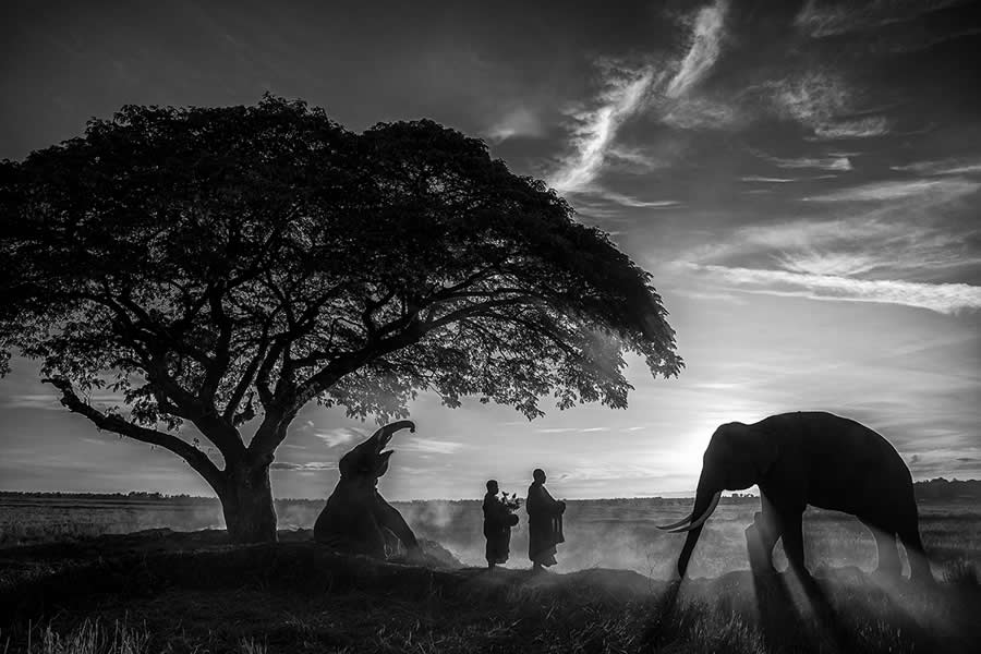 2025 Monovisions Street Photography Awards