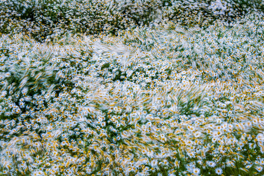 Photographer of the Year 6th Place Magnus Reneflot - 2025 Natural Landscape Photography Awards