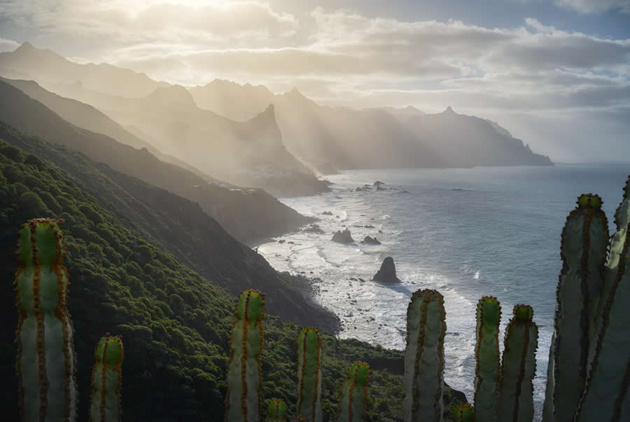 Tropical Landscapes First Place Gregoire Pansu - 2025 Natural Landscape Photography Awards