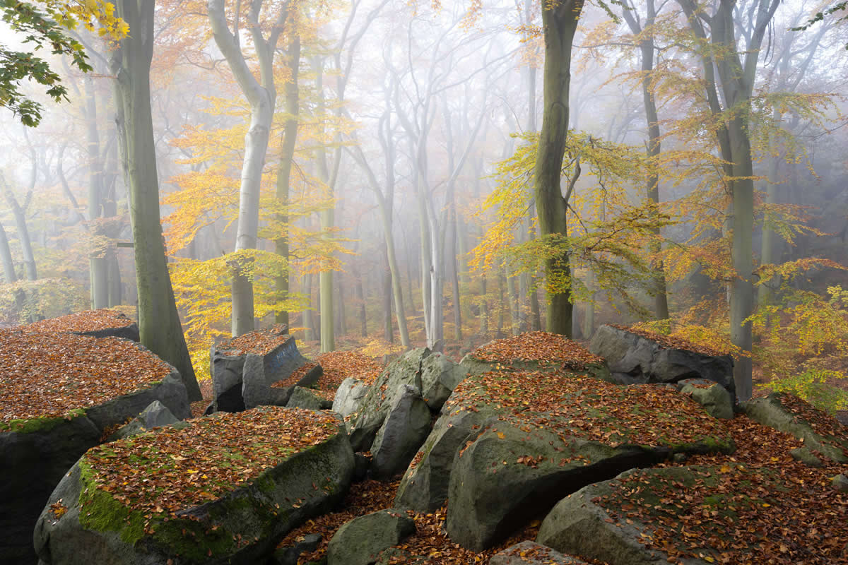 2025 Natural Landscape Photography Awards Winners