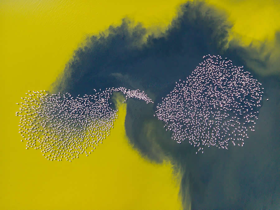 ReFocus 2025 Aerial Color Photography Awards 