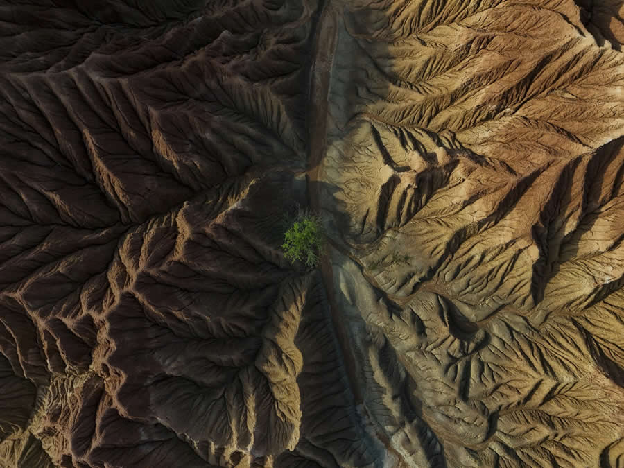 ReFocus 2025 Aerial Color Photography Awards 