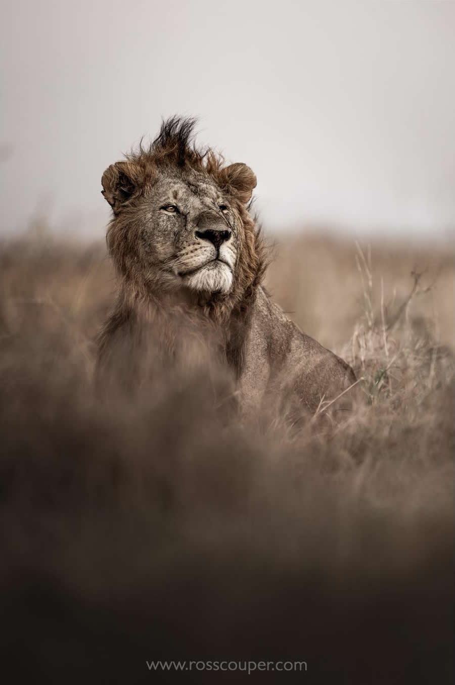 Ross Couper - Best and Top South African Wildlife Photographers