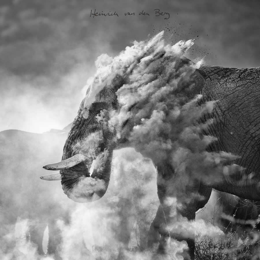 Heinrich van den Berg - Best and Top South African Wildlife Photographers