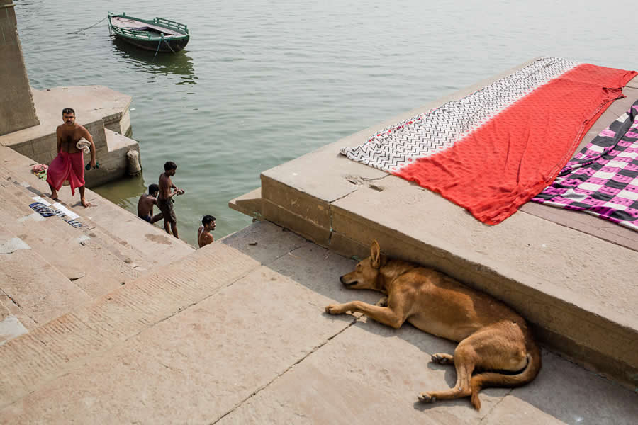 Ghats of Ganges People bathing Dog Sleeping Varanasi India - Captivating Street Photography by Giancarlo Zuccarone
