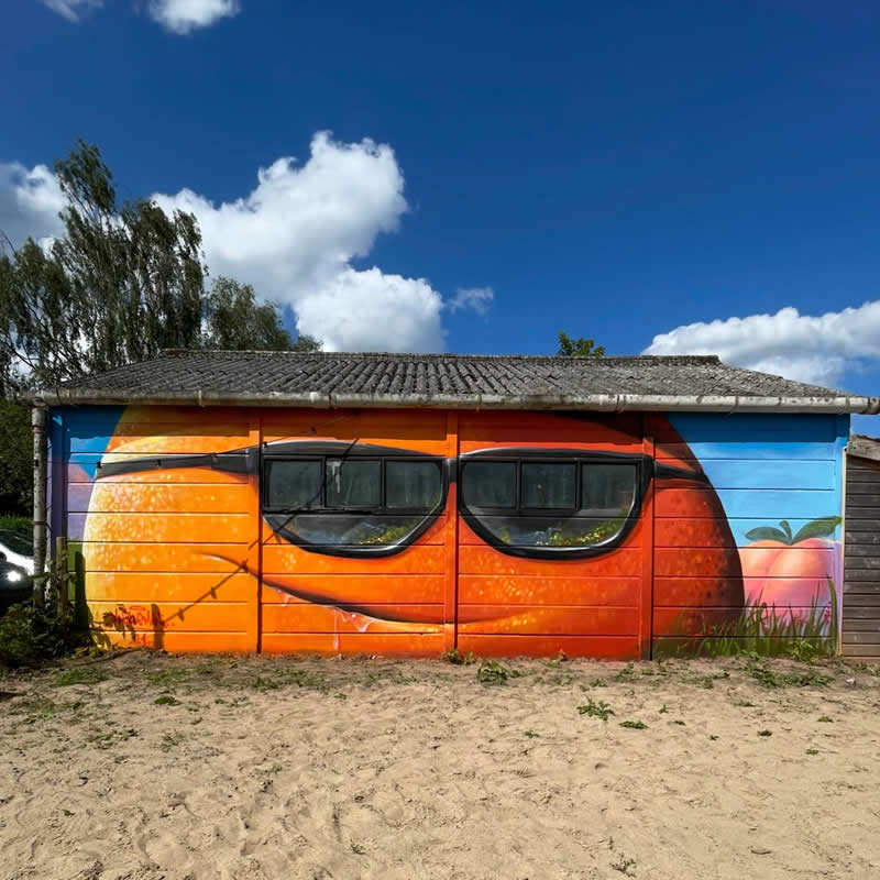 Stunning Mural Art of Walls by Dutch Artist Jan Is De Man