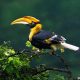 Enchanting Bird Photos