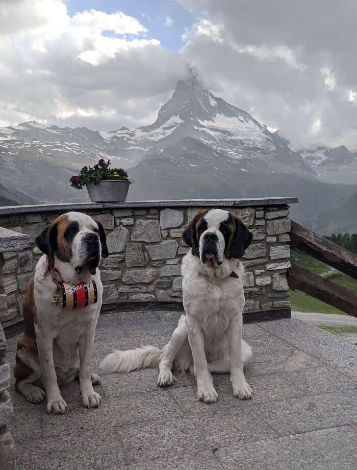 Switzerland Natural Beauty and Charm