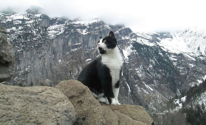 Switzerland Natural Beauty and Charm