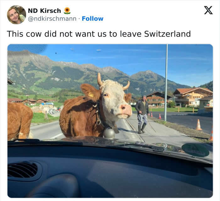 Switzerland Natural Beauty and Charm