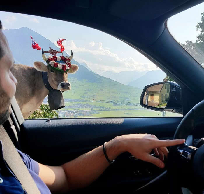 Switzerland Natural Beauty and Charm