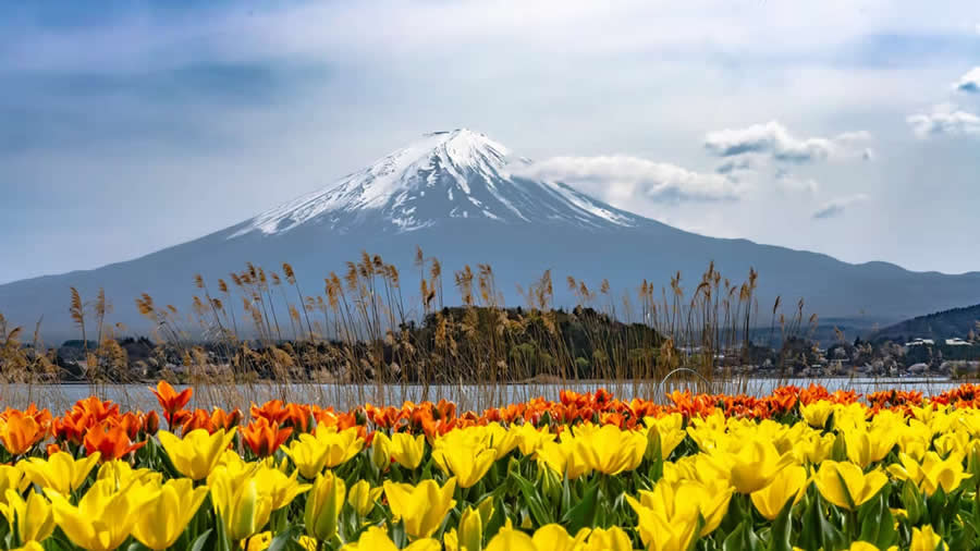 Travel Winning Photos from the Artist Gallery Awards 2025