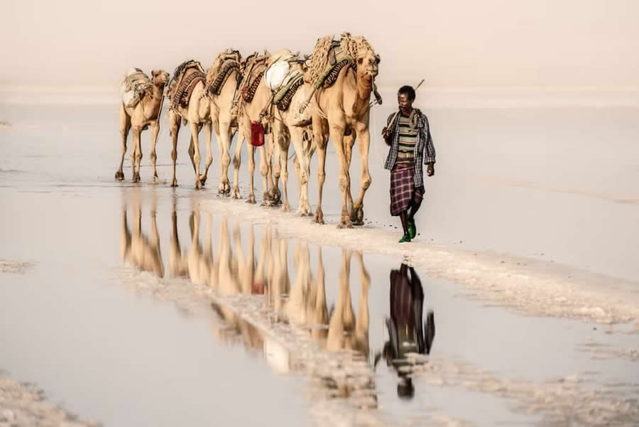 Travel Winning Photos from the Artist Gallery Awards 2025