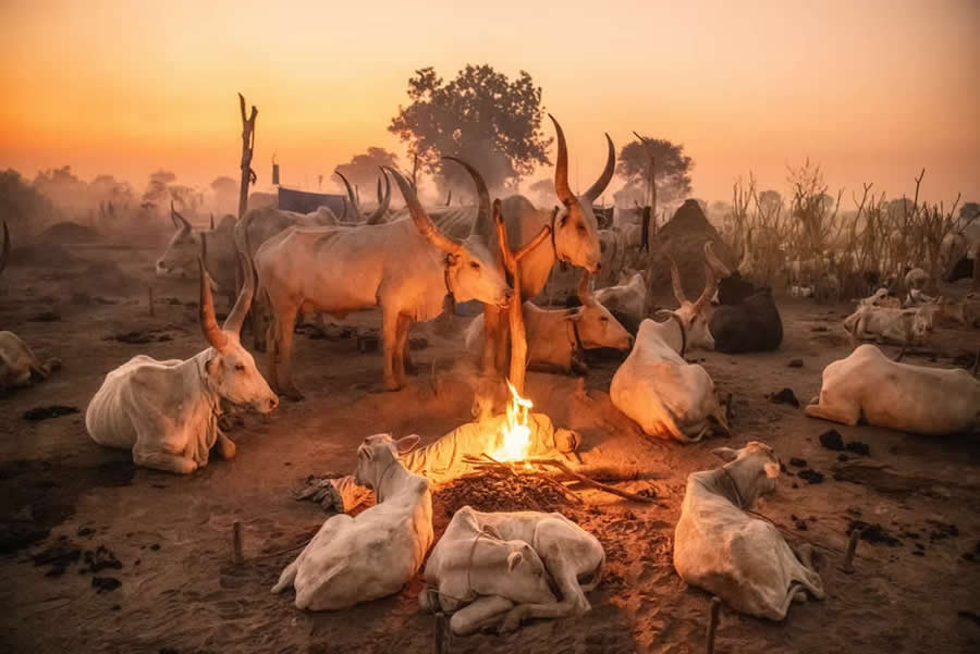 Travel Winning Photos from the Artist Gallery Awards 2025