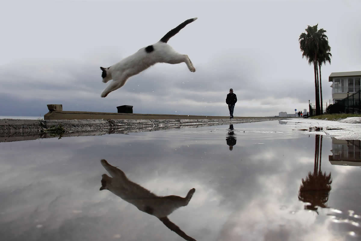 30 Incredible Street Photographs by Melahat Ünel That Transform Fleeting Moments Into Art