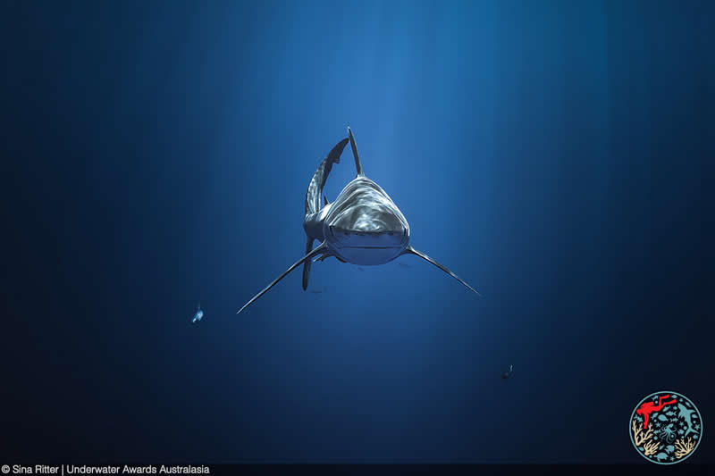 2025 Underwater Awards Australasia