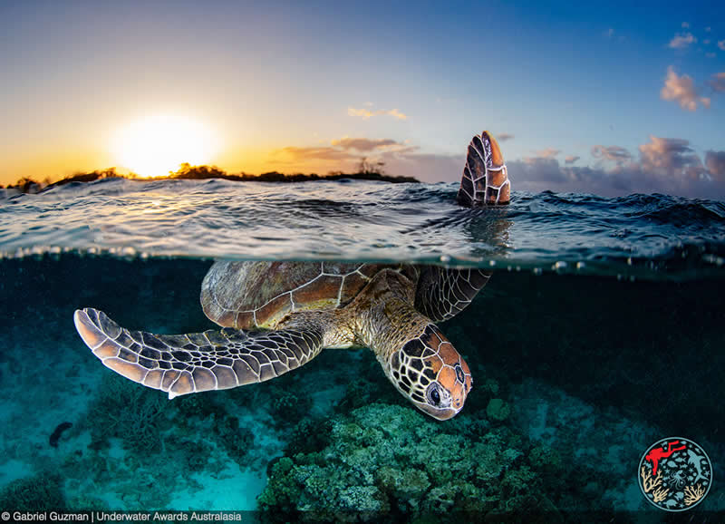 2025 Underwater Awards Australasia