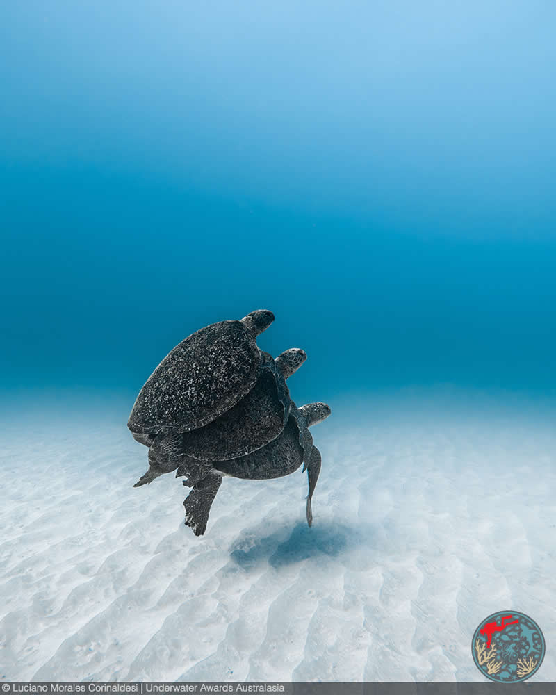 2025 Underwater Awards Australasia