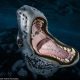2025 Underwater Awards Australasia