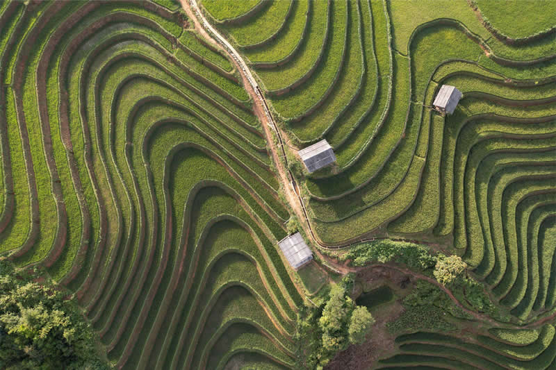 Beautiful Photos That Reveal the Spirit of Vietnam by Julian Elliott