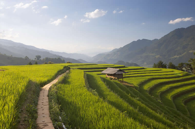 Beautiful Photos That Reveal the Spirit of Vietnam by Julian Elliott