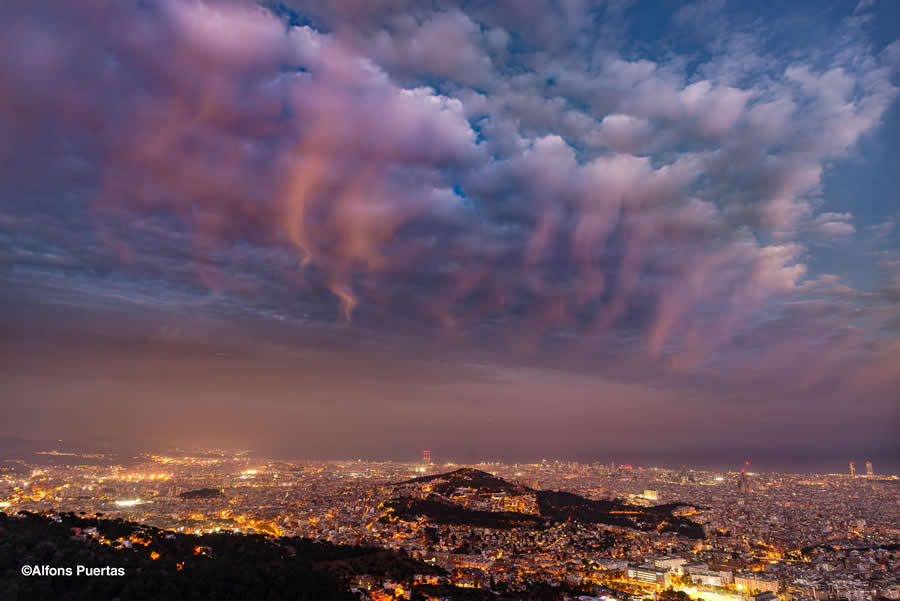 Jelly Fish invasion in the sky by Alfons Puertas