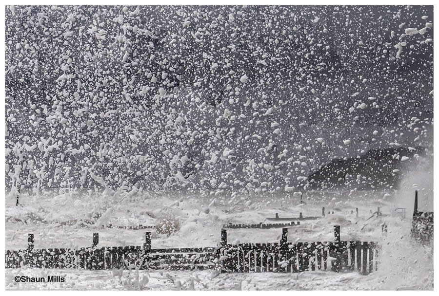 Spray by Shaun Mills