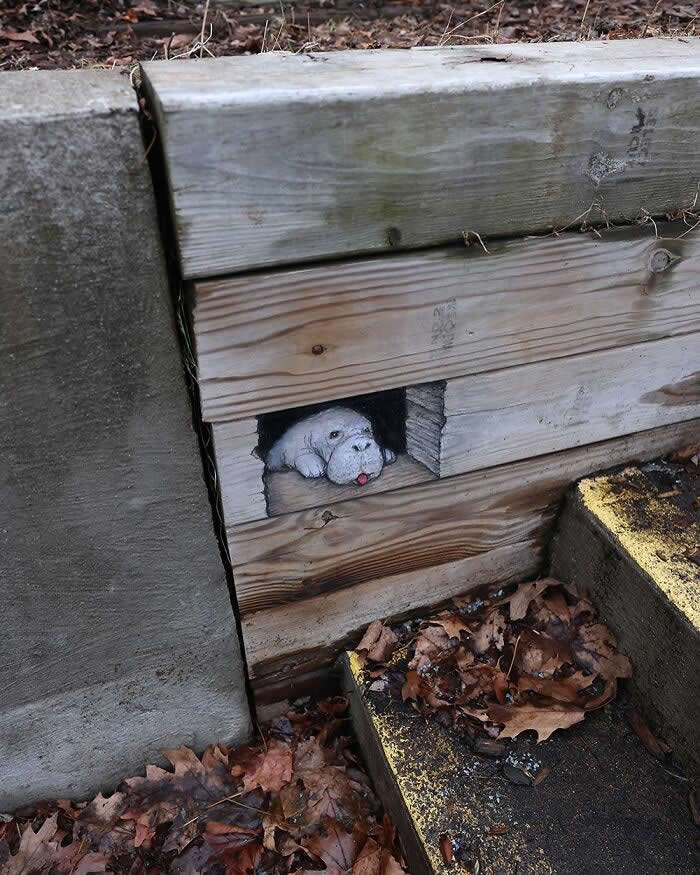 Magical Sidewalk Artworks by David Zinn That Bring Streets to Life