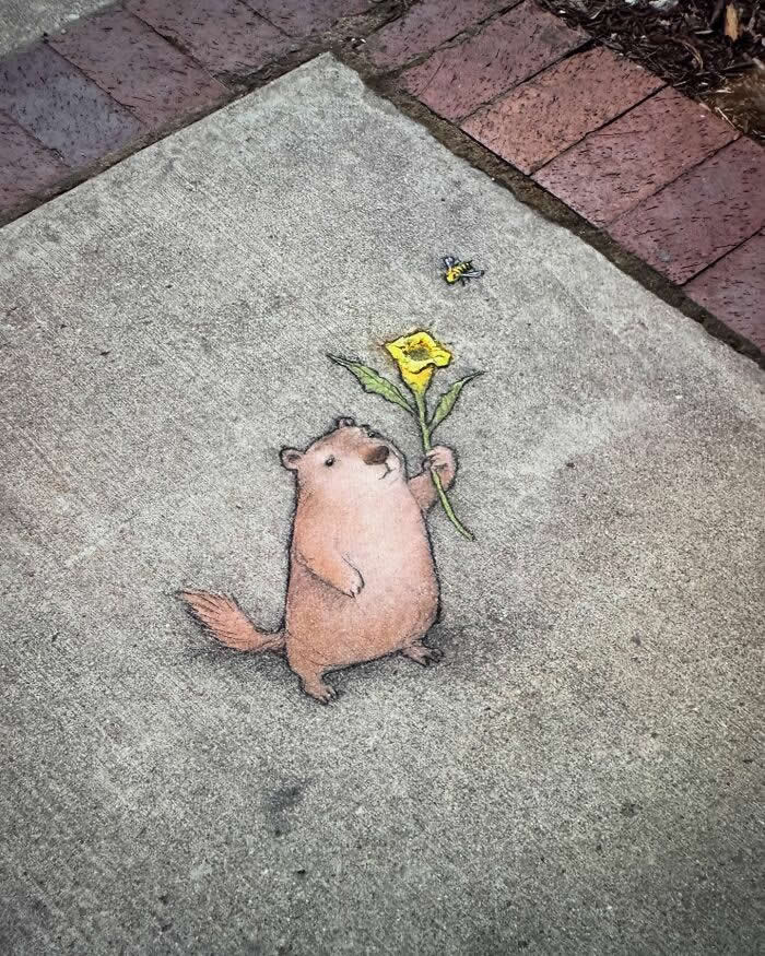 Magical Sidewalk Artworks by David Zinn That Bring Streets to Life