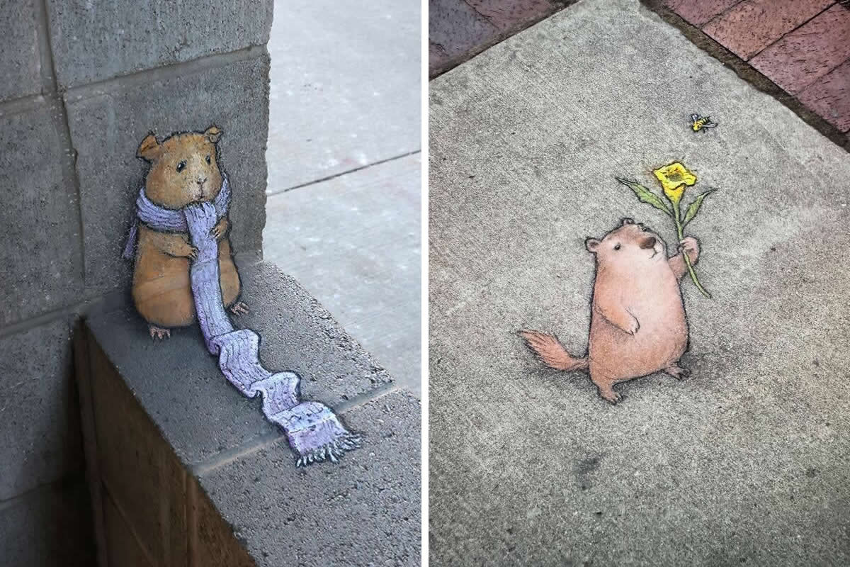 24 Magical Sidewalk Artworks by David Zinn That Bring Streets to Life