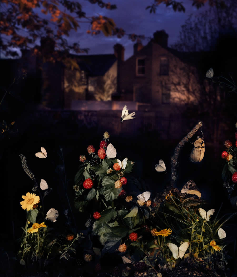 1839 Photographer of the Year Awards 2025 Winners