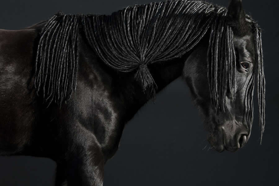 1839 Photographer of the Year Awards 2025 Winners