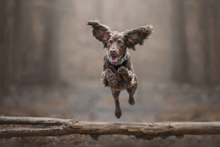 1839 Photographer of the Year Awards 2025 Winners