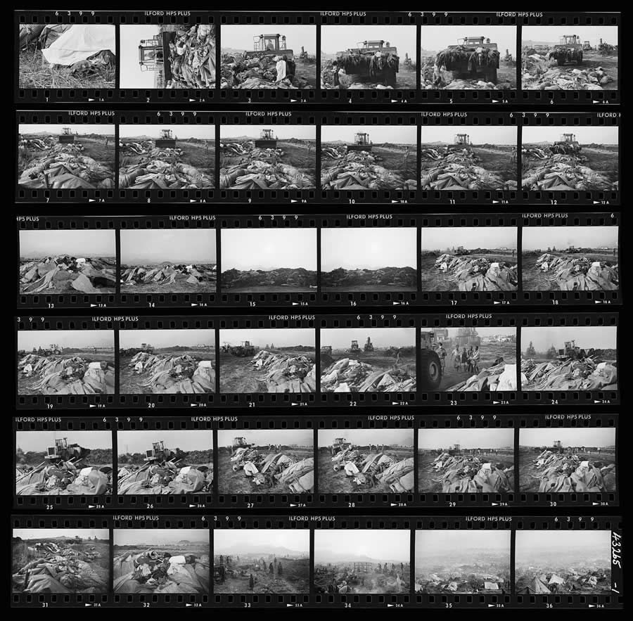 1839 Photographer of the Year Awards 2025 Winners
